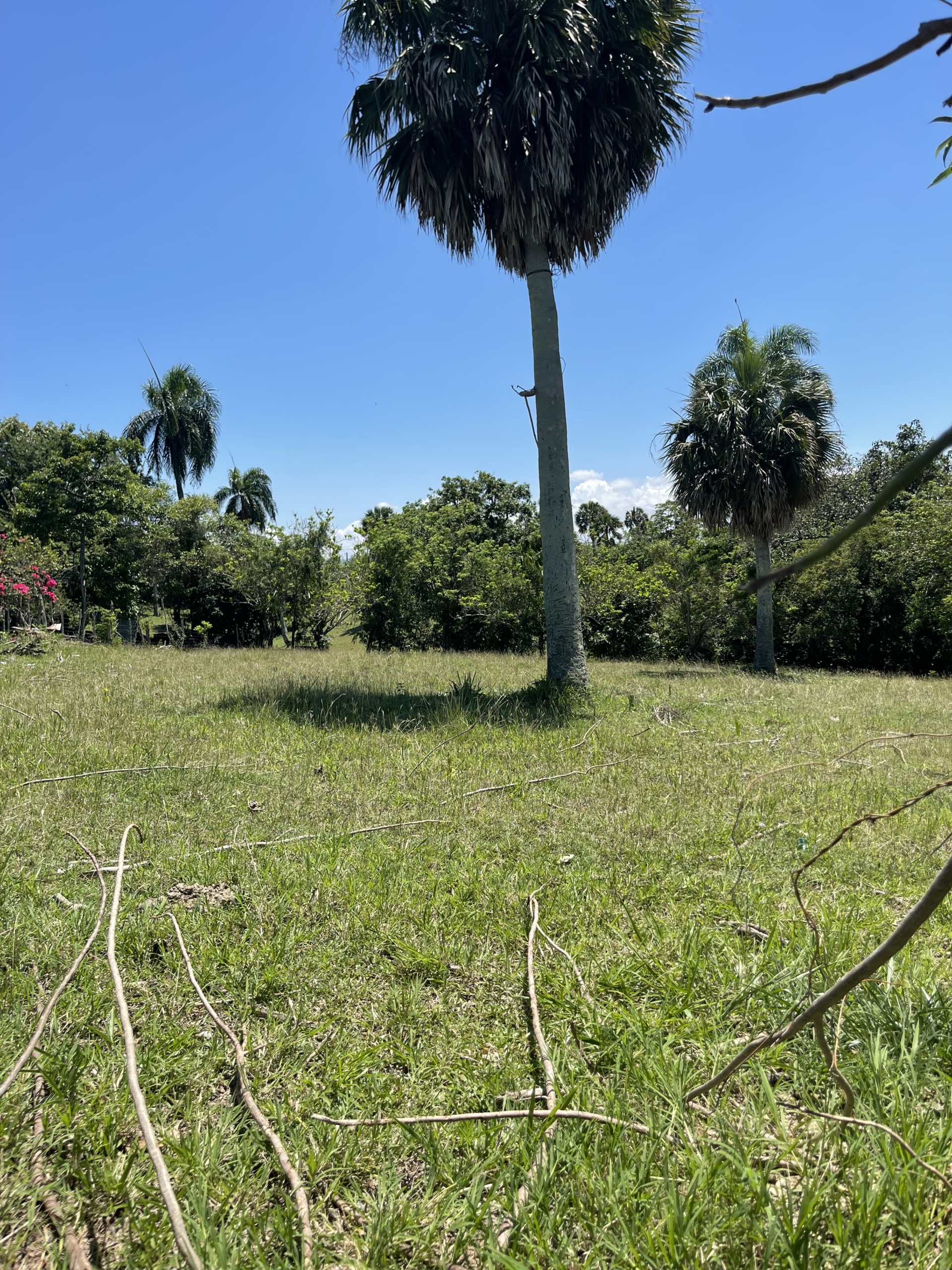 Solares a la Venta en Batida