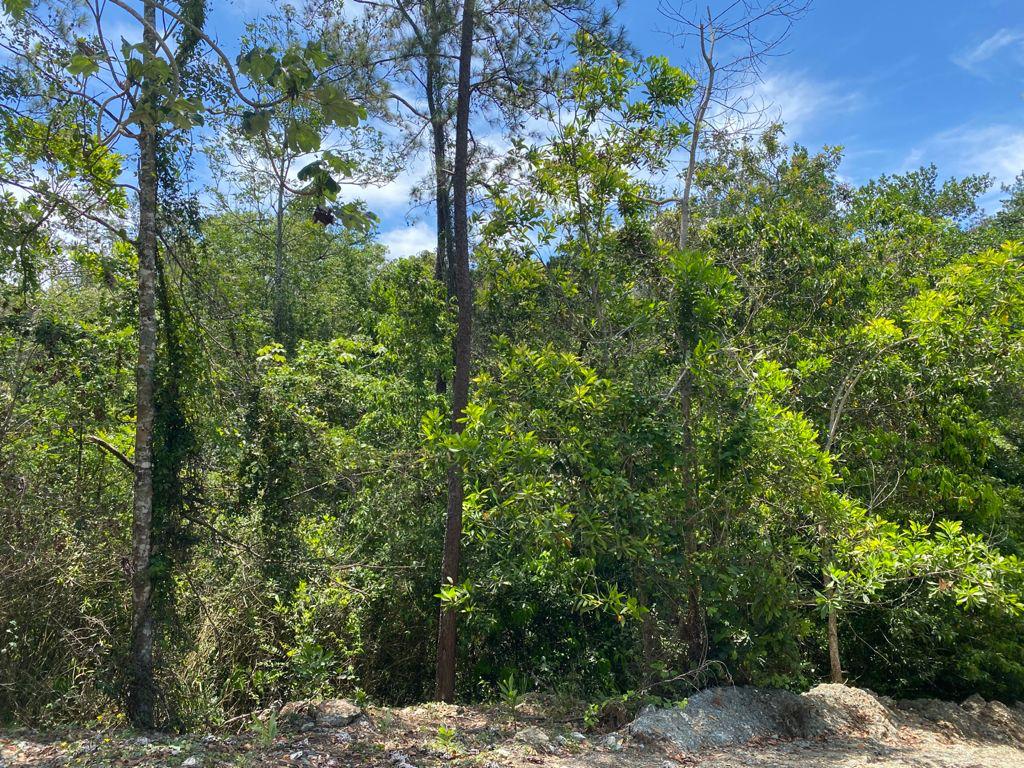 Finca en Jarabacoa