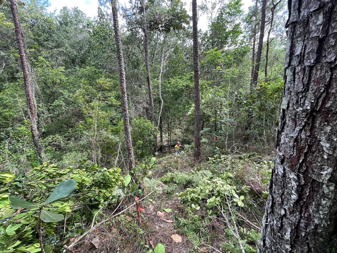 Finca en Jarabacoa