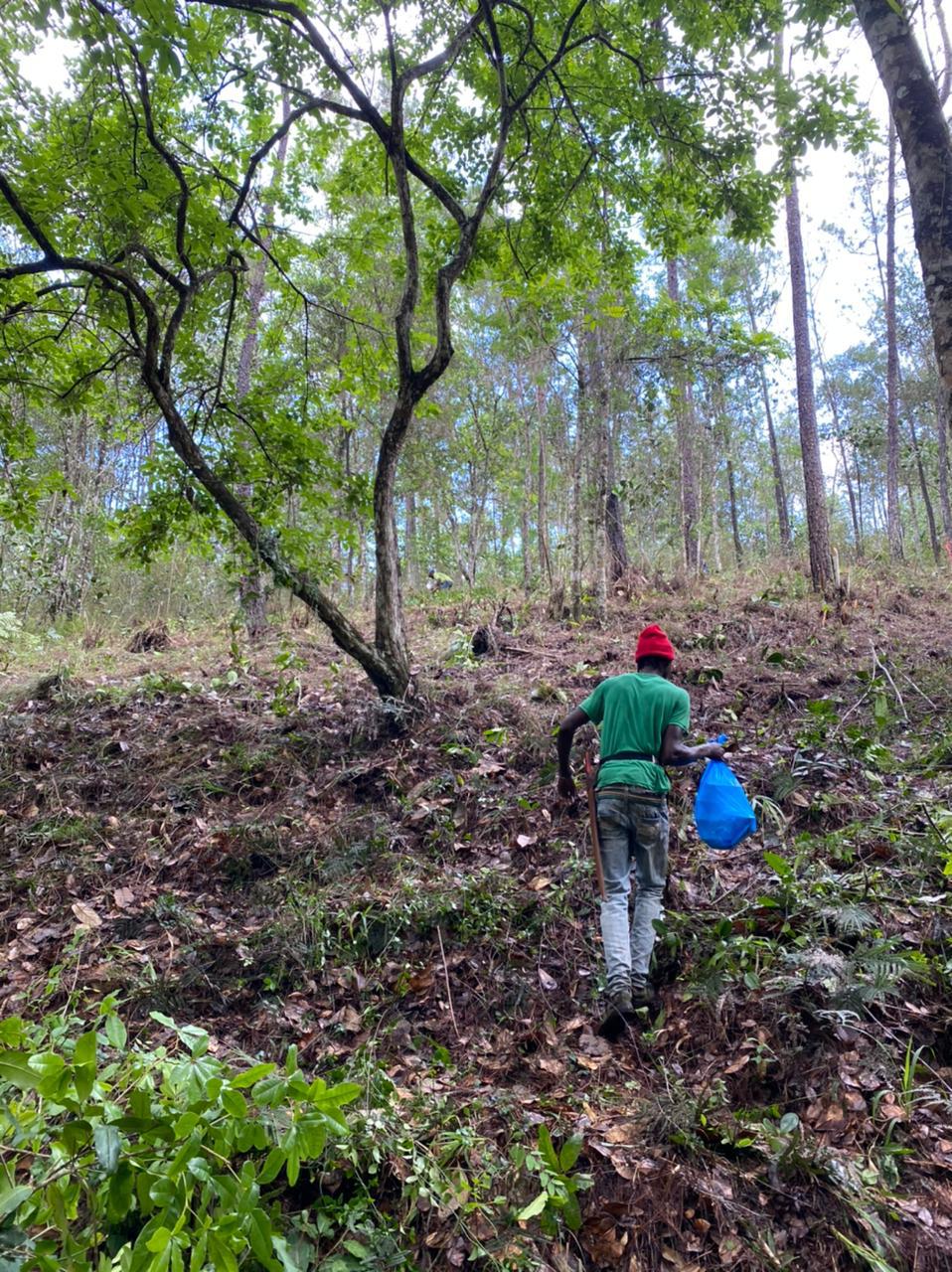 Finca en Jarabacoa