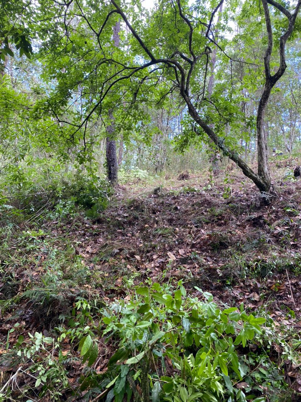 Finca en Jarabacoa