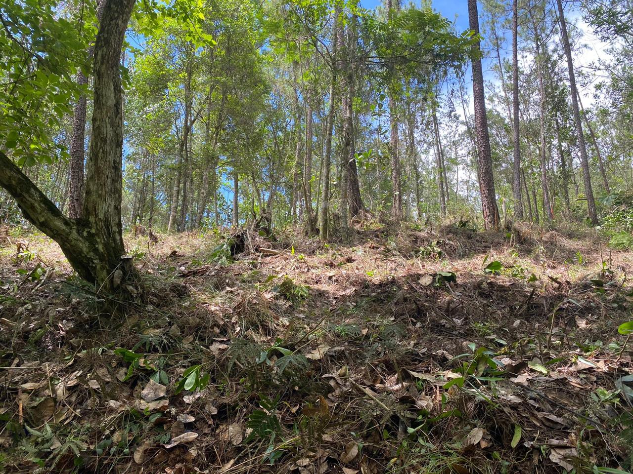 Finca en Jarabacoa