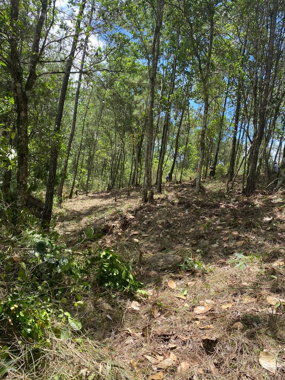 Finca en Jarabacoa