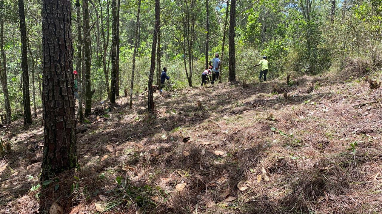 Finca en Jarabacoa