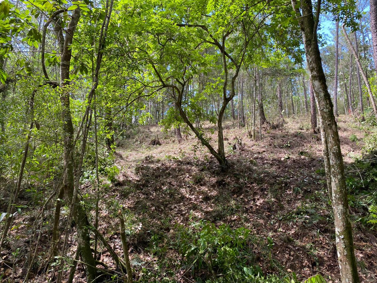 Finca en Jarabacoa