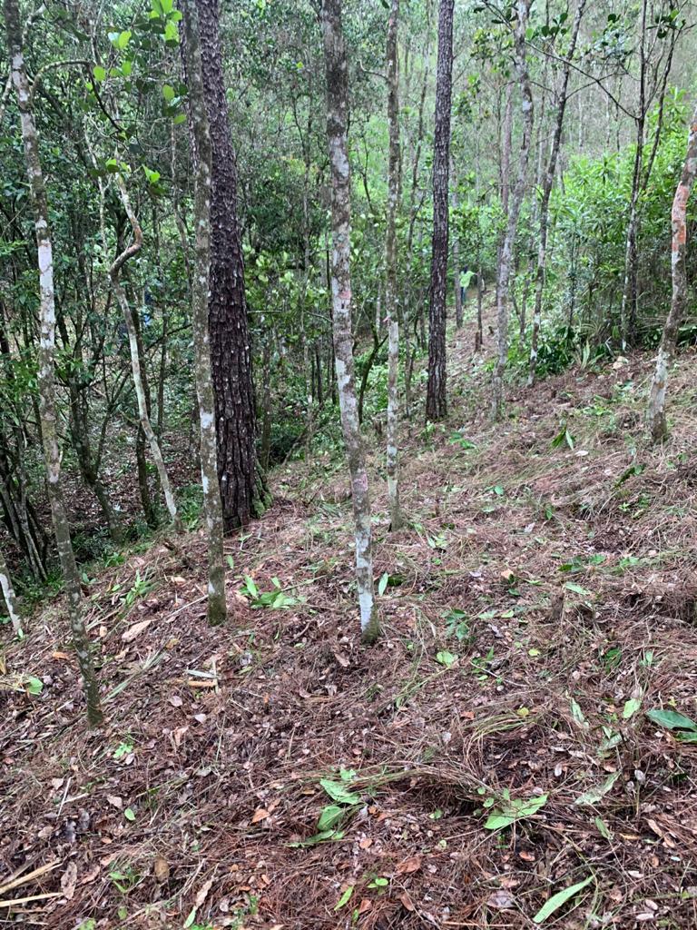 Finca en Jarabacoa
