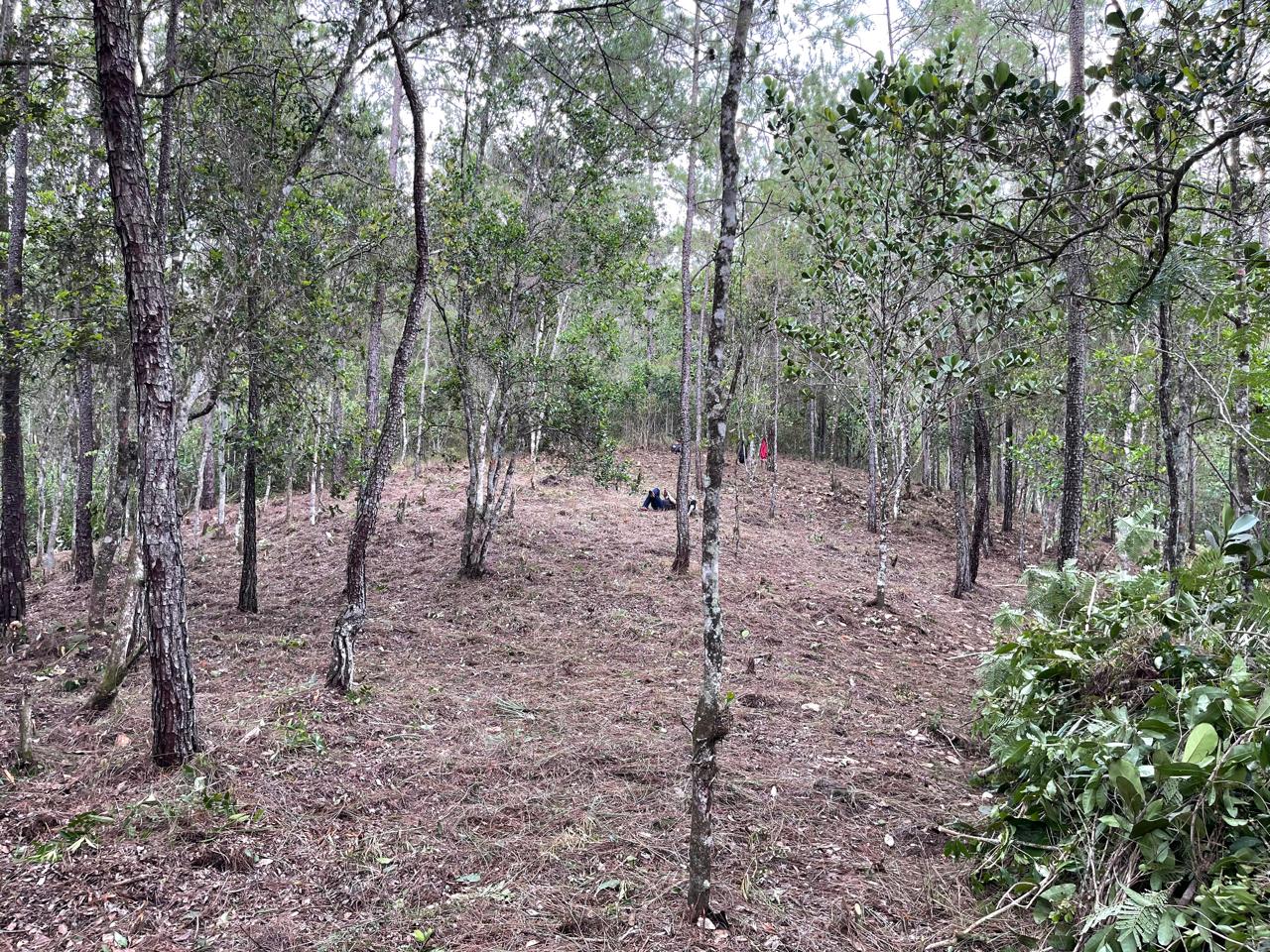 Finca en Jarabacoa