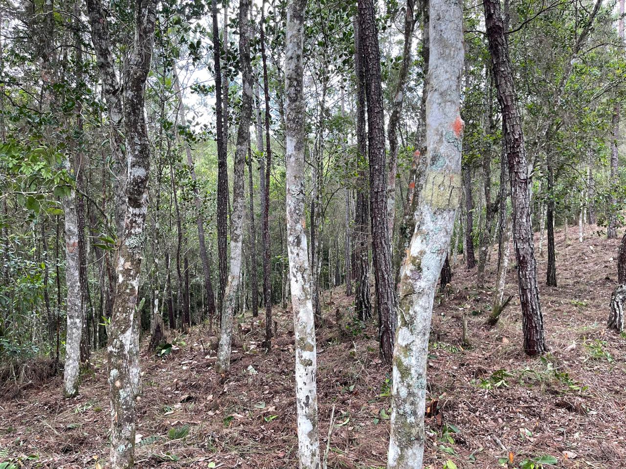 Finca en Jarabacoa