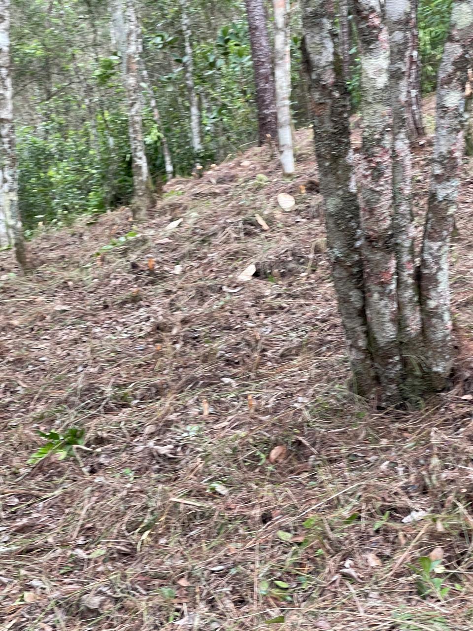 Finca en Jarabacoa
