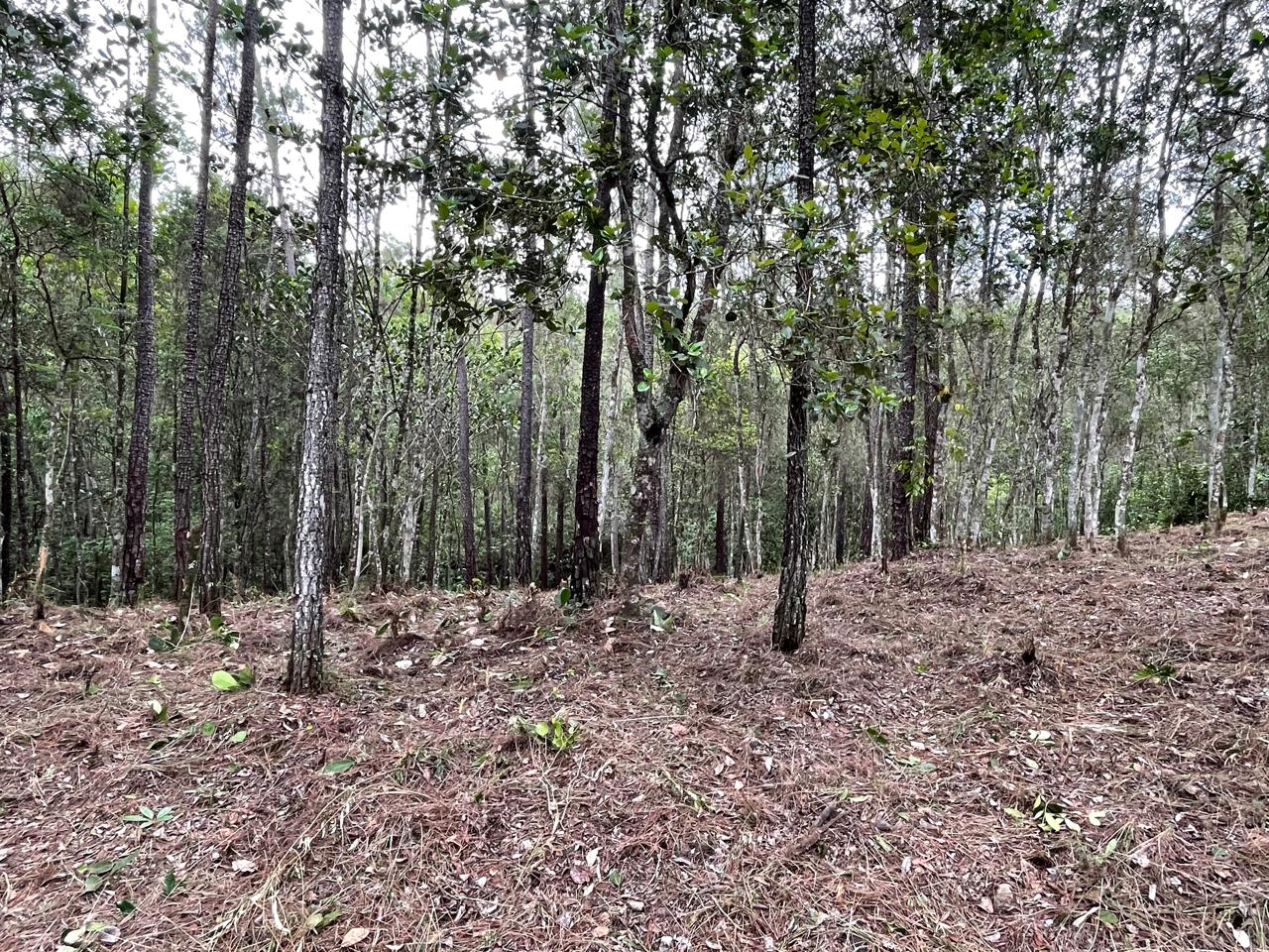 Finca en Jarabacoa