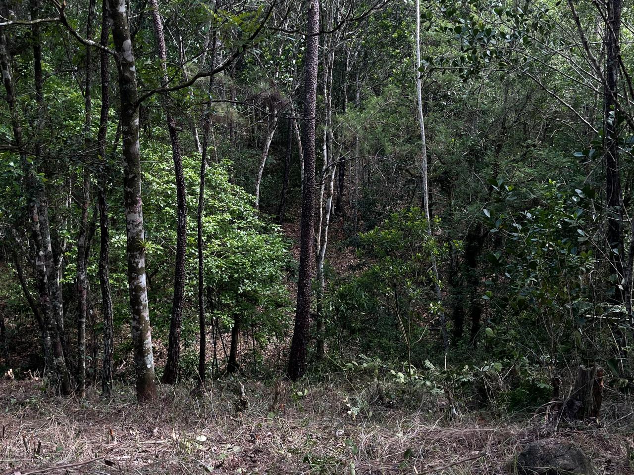 Finca en Jarabacoa