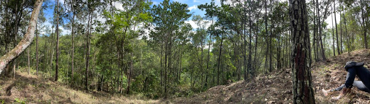 Finca en Jarabacoa