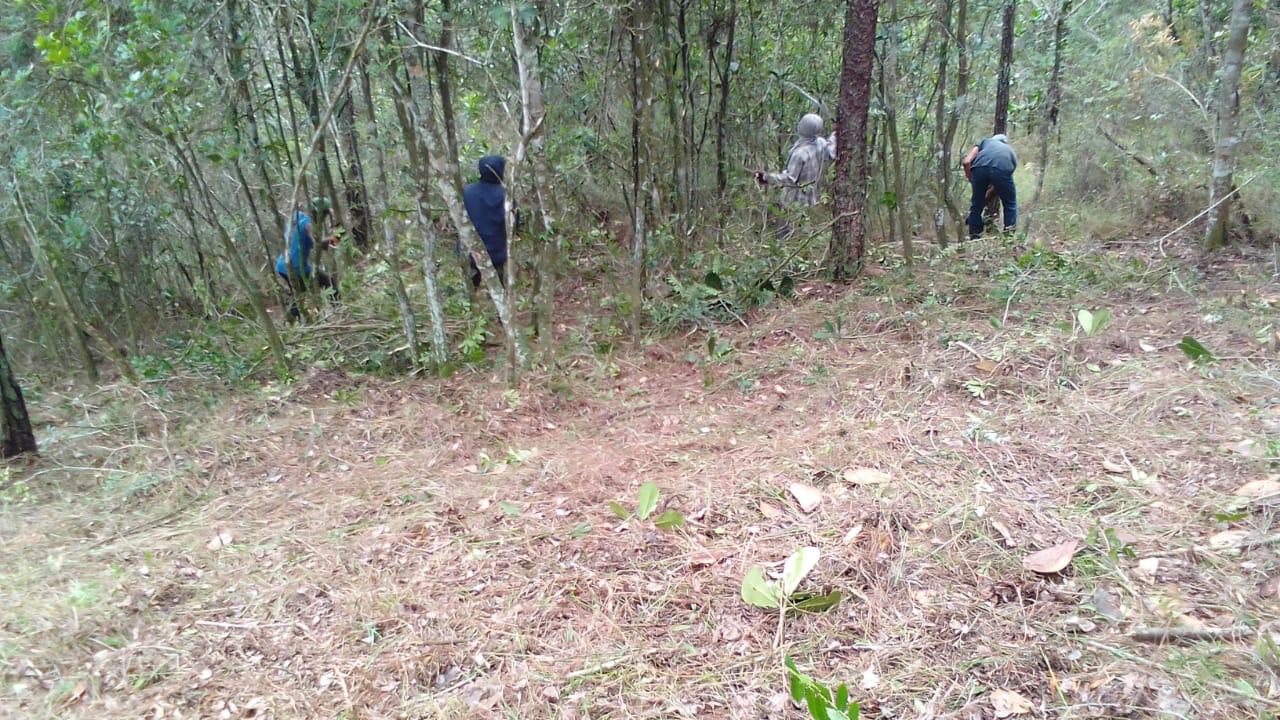 Finca en Jarabacoa