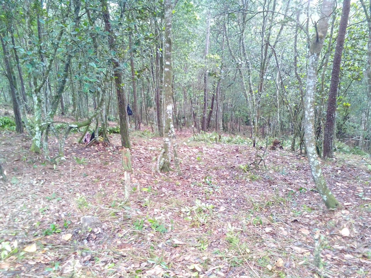Finca en Jarabacoa