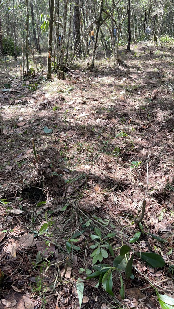 Finca en Jarabacoa