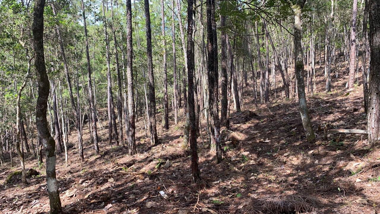 Finca en Jarabacoa