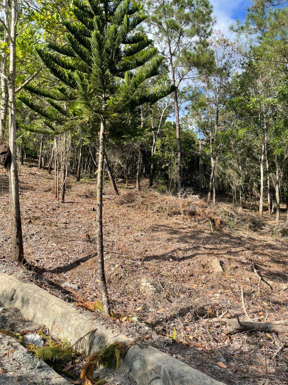 Finca en Jarabacoa